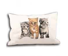 Paoletti Kitty Bordado Funda para cojín, Crema, 35 x 50 cm