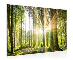 Runa Art 503831b - Cuadro de pared (120 x 80 cm, lienzo de fieltro, tamaÃ±o XXL, 3 piezas, fabricado en Alemania, listo para colgar), diseÃ±o de bosque