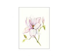 Komar Wandbild Von Magnolia Shine | Poster, Bild, Wohnzimmer, Schlafzimmer, Dekoration, Kunstdruck | ohne Rahmen | P073B-40x50 fotomural, Rosa, GrÃ¼n, WeiÃ