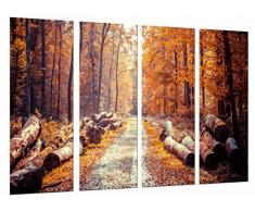 Poster FotogrÃ¡fico Bosque OtoÃ±o, Camino Troncos, Naturaleza, Marrones TamaÃ±o total: 131 x 62 cm XXL