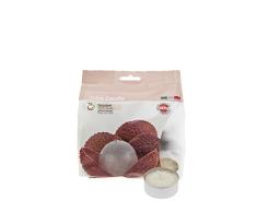 Cereria de Giorgio Concentrado de Vela Tealight perfumadas Alla Frutas, Cera, Rosa Claro, 3.8Â X 3.8Â X 1.6Â cm, 25Â Unidades