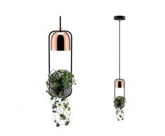 Paulmann 797.49 iluminación de techo Negro, Cobre GU10 - Lámpara (Universal, Negro, Cobre, IP20, Cepillado, Metal, II)