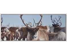 ABC Tappeti Alfombra Vinyl Nr04 North Barro 50 x 120 cm