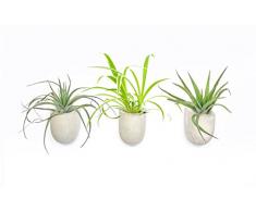 Gift Republic magnÃ©tico macetas