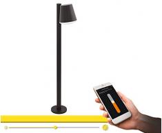 EGLO CALDIERO, C Outdoor floor lighting E27 9W LED Antracita , Iluminación al aire libre , Outdoor floor lighting, Antracita, De plástico, Zinc de acero, IP44, Blanco, I