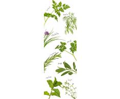 Plage Plantas Aromáticas Vinilo Adhesivo para la Cocina, Vinilo, Verde, 60x180 cm
