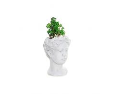 Planta Decorativa Dkd Home Decor Blanco Verde PVC Terracota (13.7 X 13.2 X 27.5 Cm)