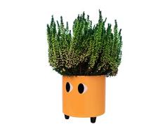 Fisura -  Macetero Original con diseño de Ojos. Macetero Decorativo Interior. Macetero con Patas para Cactus. Maceta de cerámica para Flores y suculentas.13 x 12,5 cm.  (Naranja)
