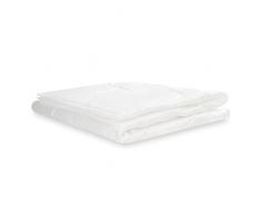 Julius Zöllner Juego de cama infantil de verano, manta con almohada, Thinsulate Lite Loft, Standard 100 by Oeko-Tex, tamaño 100 x 135 cm + 40 x 60 cm