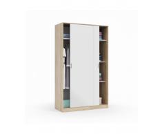 ARMARIO 2 PUERTAS CORREDERAS DAX