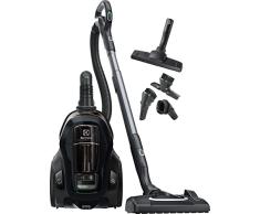 Electrolux PC91-GREEN 650 W - Aspiradora (650 W, Aspiradora cilíndrica, Secar, Sin bolsa, Filtrado, 72 dB)