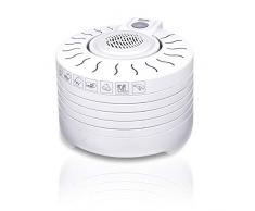 MPM MSG-01 Deshidratador de Alimentos 5 Bandejas, Deshidratador de Frutas y Verduras 250 W, Plateado