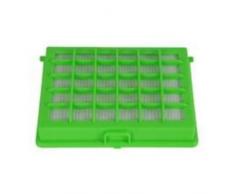 Rowenta HEPA Filter - Accesorio para aspiradora (Verde)