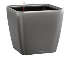 Lechuza Maceta, Quadro Premium