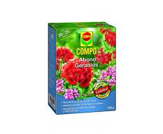 Compo Abono para geranios, Apto Flor, Envase estanco, Granulado, para 20-25 Plantas, 750 g, 20x14.2x4.7 cm