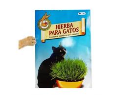 Set de Semillas de Hierba para Gatos para Cultivar Césped de Gato en Casa