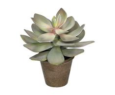 Vacchetti - Planta suculenta Verde con Maceta, plástico, tamaño Mediano