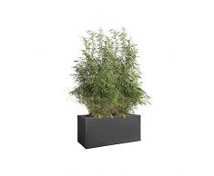elho Vivo Structure Finish Long Wheels 90 - Jardinera - Living Black - Interior & Exterior - L 39 x A 88 x A41 cm