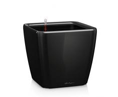 Lechuza Maceta, Quadro Premium