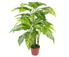 Leaf Design UK - Planta Artificial de Hoja perenne