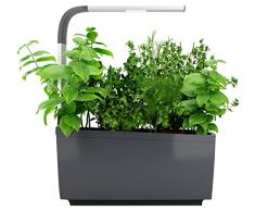 Tregren T6 Huerto de Interior Conectado 6 Plantas, Kit Listo para Crecer y Jardinera Autónoma para Hierbas aromáticas, Pequeñas Hortalizas, Flores - Cultiva con tu aplicación Smartphone - Gris