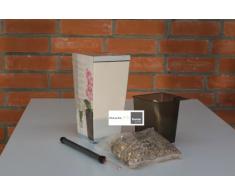 Lechuza Maceta, Maxi Cubi Premium