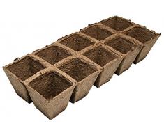 Biotop Macetas cuadradas (5,5 x 5,5 cm), 30 Unidades, B2006