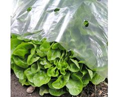 Noor Folio para vivero, Folio de plantado 4013198004022 1,5 x 10 m Folio de jardín Folio de Invernadero Folio para vivero