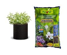 KETER - Maceta Mediana de Base Redonda, 18 litros, Color marrón Chocolate + Flower Universal Premium Substrato, 10L, Marrón, 29x6x46 cm
