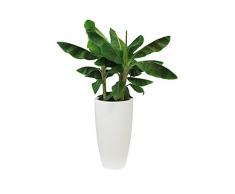 Elho Pure Soft Round High Macetero Redondo, Blanco, 29,5x29,5x53,2 cm