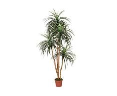 Catral Planta Artificial NOLINA 185 CM