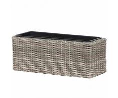 Caja de balcón Siena Garden Mio, jardinera, caja de flores, calado, 51,5x20x20 cm, D49381