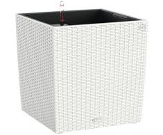 Lechuza Maceta, Cube Cottage