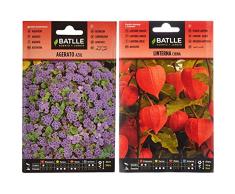 Semillas Batlle Agerato Azul & Linterna China