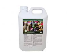 CULTIVERS Fertilizante Cactus y Crasas Ecológico de 5 L. Abono Líquido de Crecimiento Saludable con Mayor Floración. Plantas más Resistente a Enfermedades. Abono 100% Orgánico y Natural