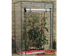 Invernadero tomates cubierta de PVC.