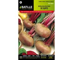 Semillas Hortícolas - Remolacha mesa Aplastada de Egipto - Batlle