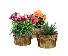 Relaxdays Macetas de Madera, Juego de 3, decoración de jardín para Plantas, balcón y alféizar, 10 x 16 cm, Maceta, marrón, 10037594