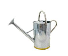 Gardman Regadera de Cobre de 9 litros (2 galones)