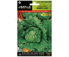 Semillas Hortícolas - Lechuga Batavia Grandes Lagos (tipo California) - Batlle