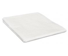 Windhager Lámina Protectora para Muebles de jardín, Transparente, 100 g/m², 3 x 2 m, 06745