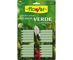 Flower M281985 - Abono Clavos Verdes 20 Unidades