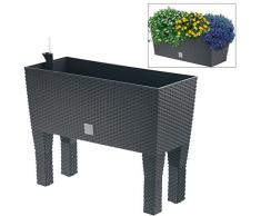 Zanvic Rato Jardinera, Antracita