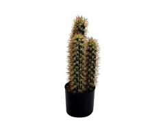 Vacchetti Planta Cactus con Maceta Redonda, plástico, Multicolor, Grande