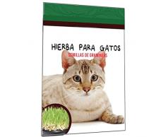 Semillas de Hierba para Mascotas Ideal para Cultivar Hierba de Gato en Casa