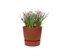 elho Greenville Round Maceta, klinkerrot