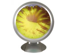 Naeve Leuchten 565614 - Producto de decoración de jardín
