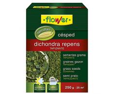 Flower Semillas césped Repens Tapizante 250 gr, Resistente al Sol y Sombra,Ideal 25 m2, Riego Moderado, Bajo Mantenimiento, Turba Rubia, Humus Lombriz, Substrato Ácidas - Tamaño 10.3x3.7x14.5 cm