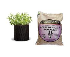 KETER - Maceta Mediana de Base Redonda, 18 litros, Color marrón Chocolate + Semillas Batlle Sustrato Bolas Arcilla Expandida 5l