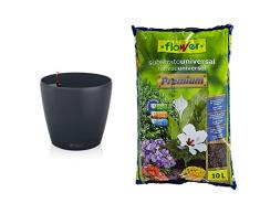 Lechuza Maceta, Classico Color + Flower Universal Premium Substrato, 10L, Marrón